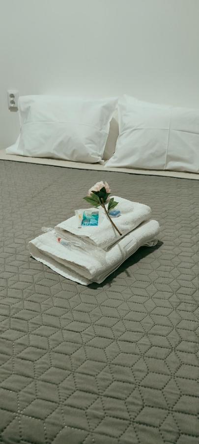 Vila Santa Cruz Guest House Braga Bagian luar foto