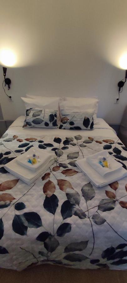 Vila Santa Cruz Guest House Braga Bagian luar foto